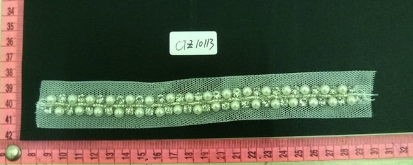 CTZ10113