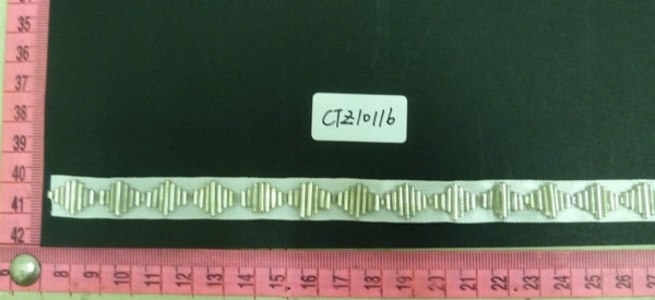 CTZ10116