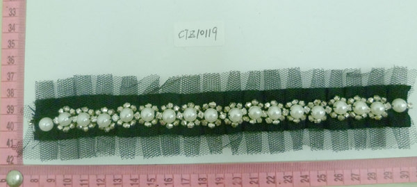 CTZ10119