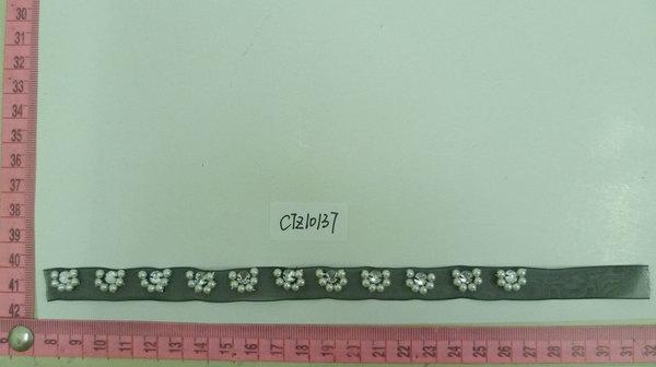 CTZ10137