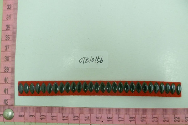 CTZ10156