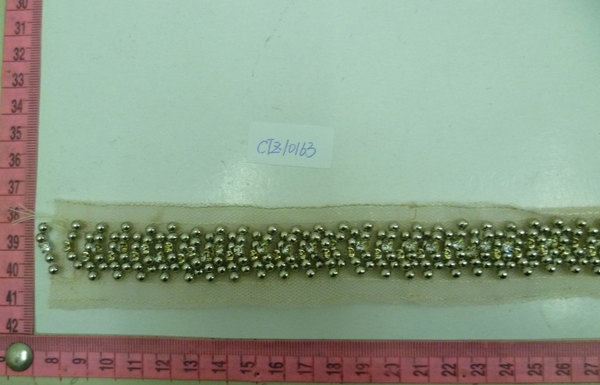 CTZ10163
