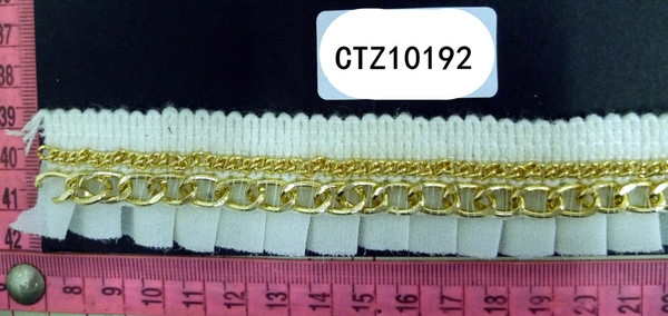 CTZ10192