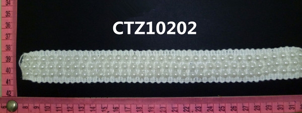 CTZ10202