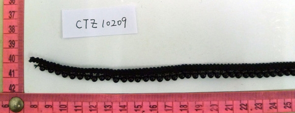 CTZ10209