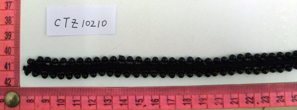 CTZ10210