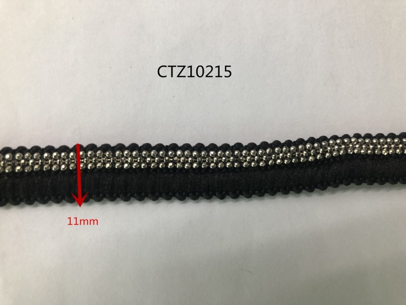 CTZ10215-1_