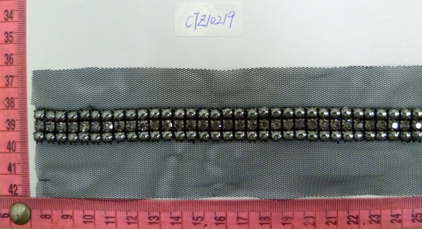 CTZ10219