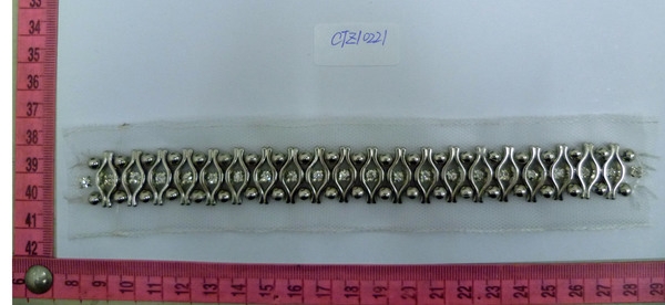 CTZ10221