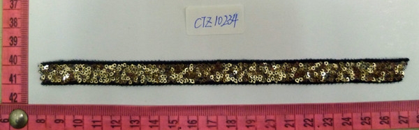 CTZ10234