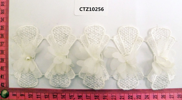 CTZ10256