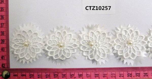 CTZ10257