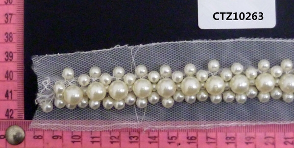 CTZ10263