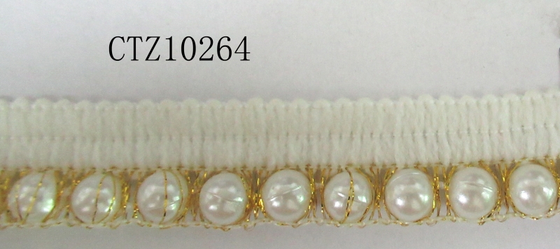 CTZ10264-2