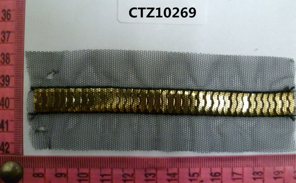CTZ10269