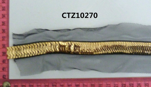 CTZ10270