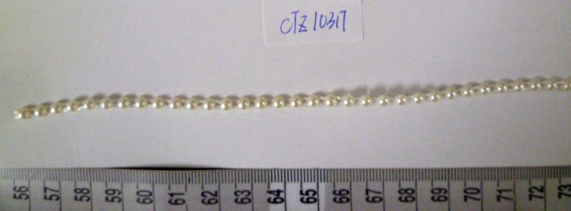 CTZ10317