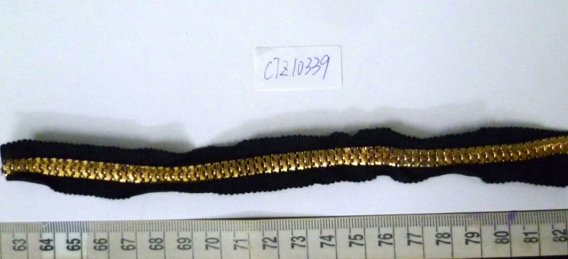 CTZ10339