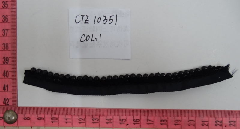 CTZ10351