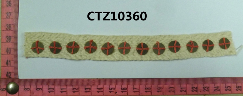 CTZ10360