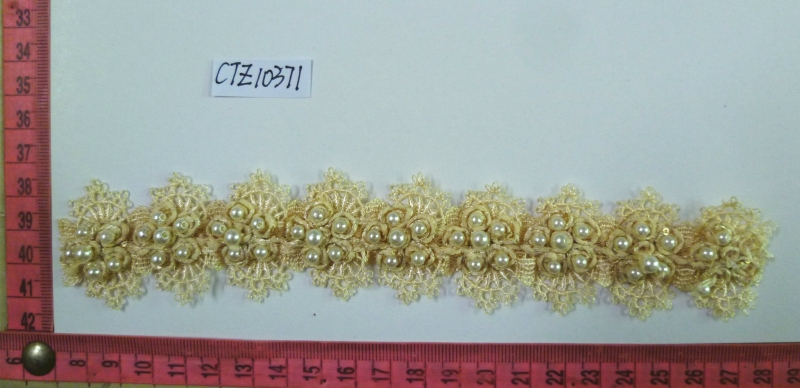 CTZ10371