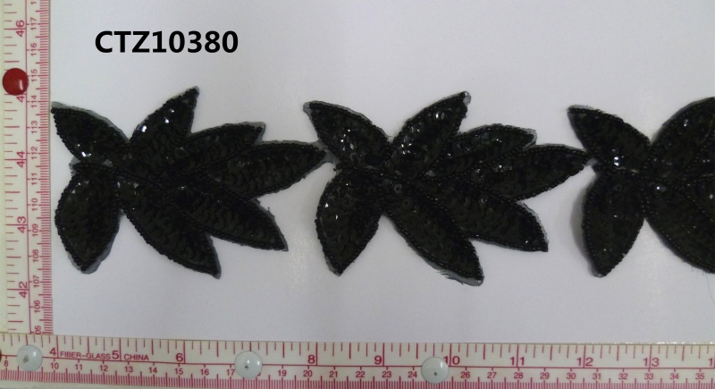 CTZ10380