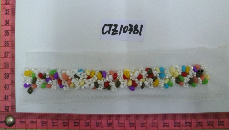 CTZ10381