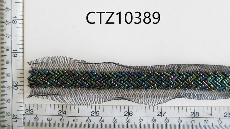 CTZ10389