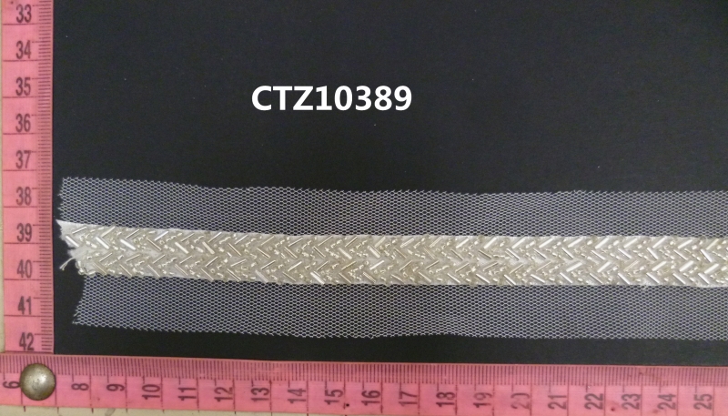 CTZ10389