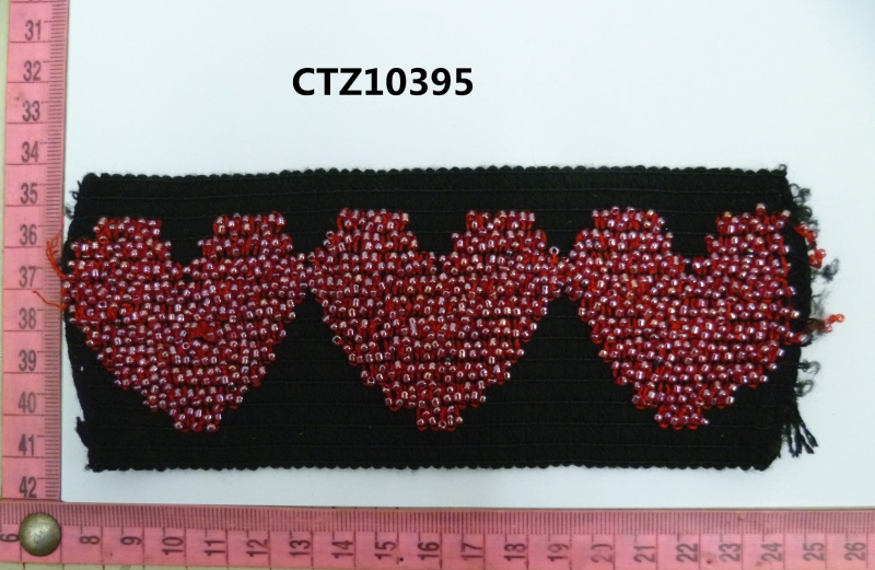 CTZ10395