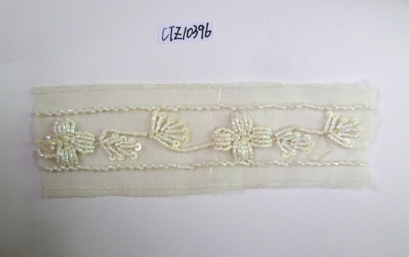 CTZ10396