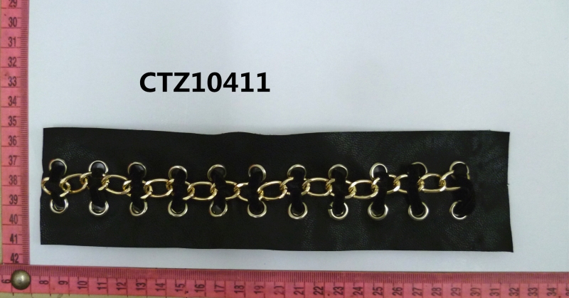 CTZ10411