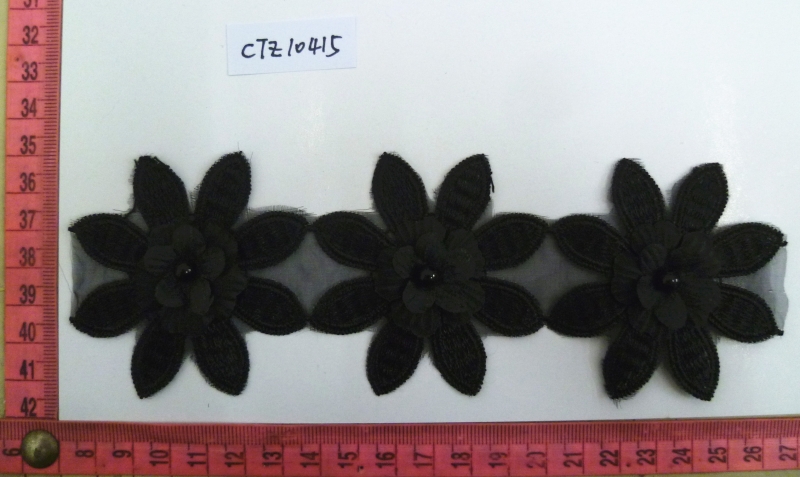 CTZ10415