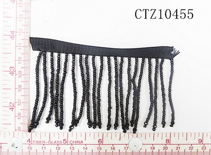 CTZ10455