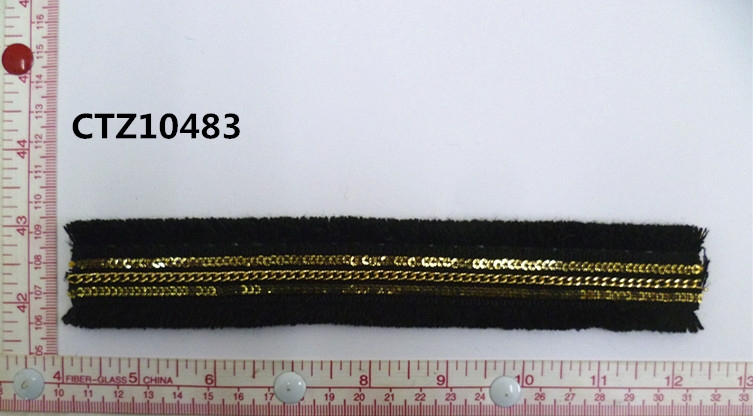 CTZ10483