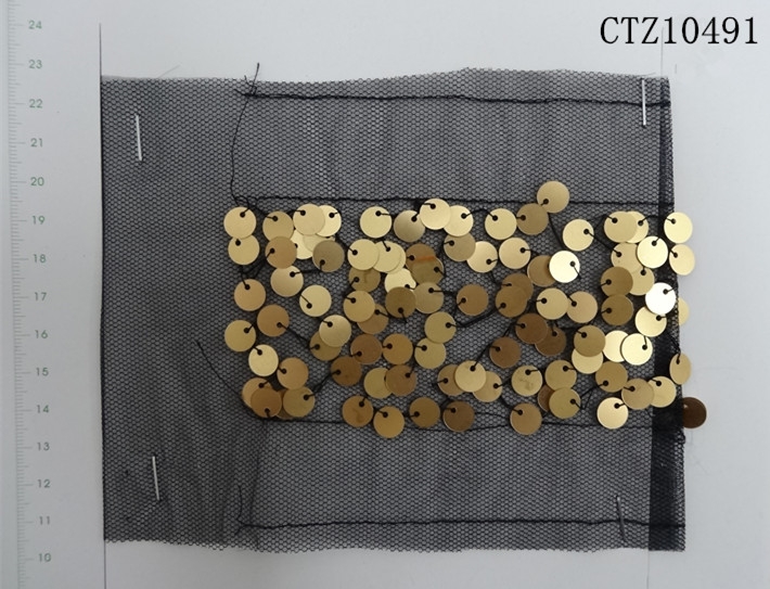 CTZ10491