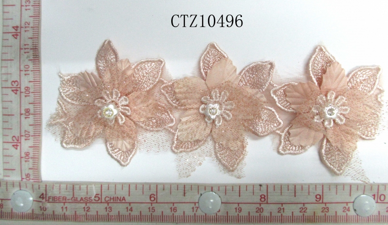 CTZ10496