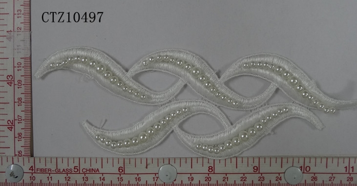 CTZ10497