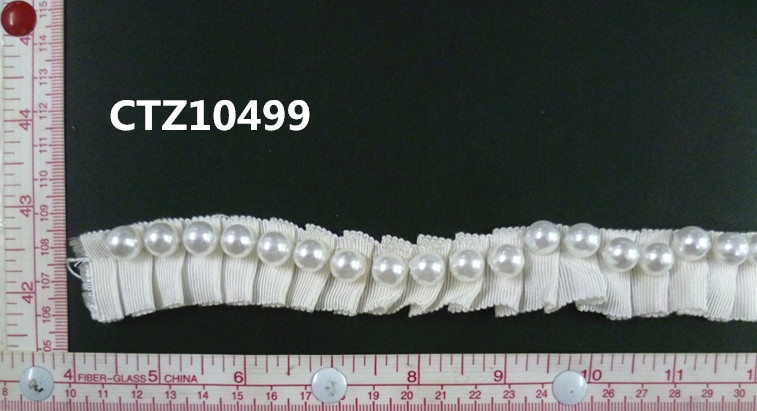CTZ10499