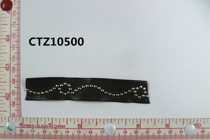 CTZ10500