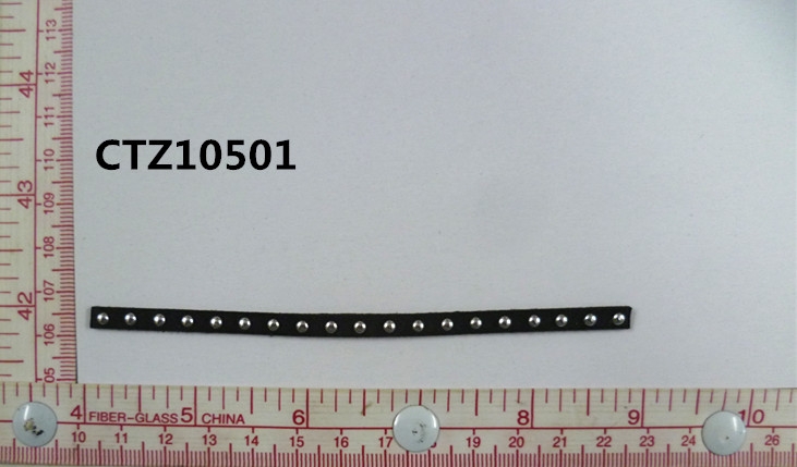 CTZ10501