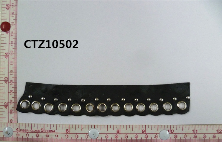 CTZ10502