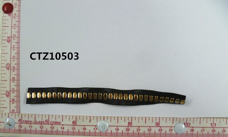 CTZ10503