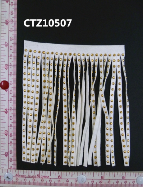 CTZ10507