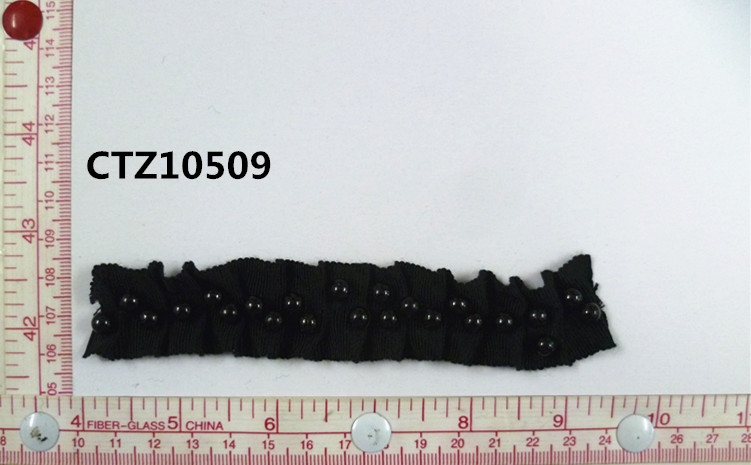 CTZ10509