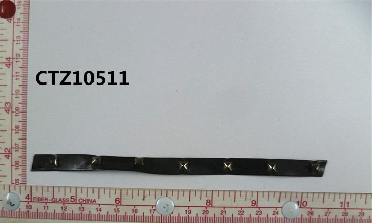 CTZ10511
