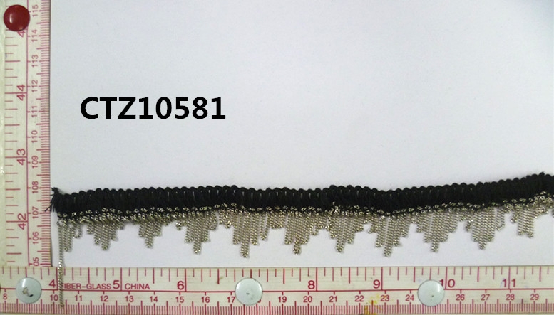 CTZ10581