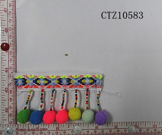 CTZ10583