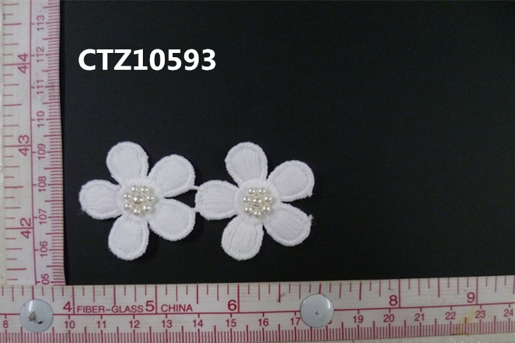 CTZ10593