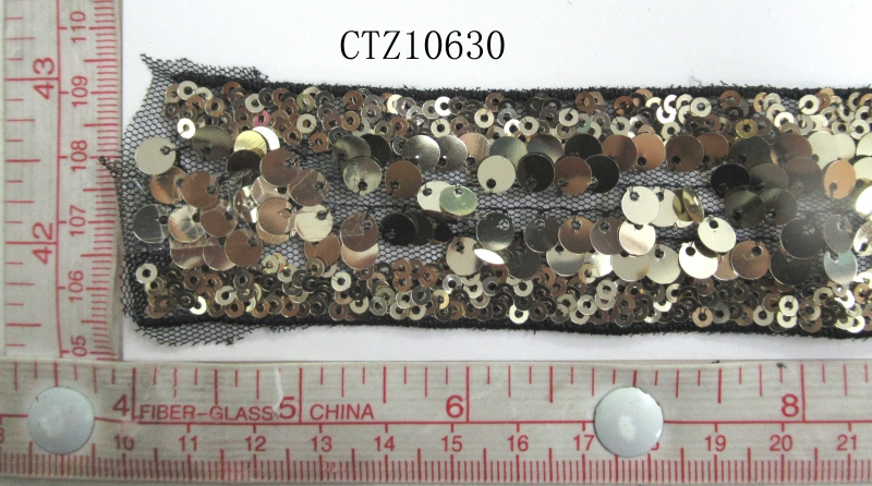 CTZ10630